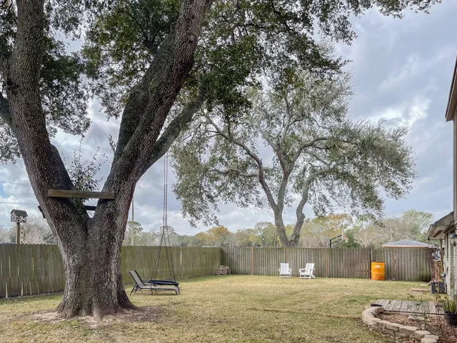 a view of yard with tree s