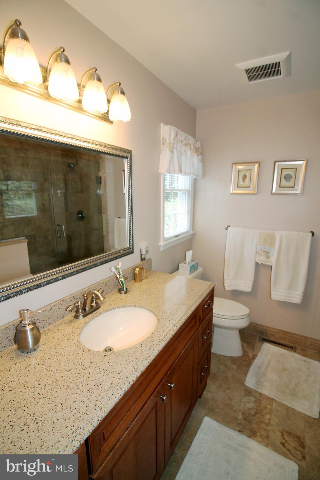 3906 Eland Road Phoenix, MD 21131 - Photo 26 of 43 Master Bath