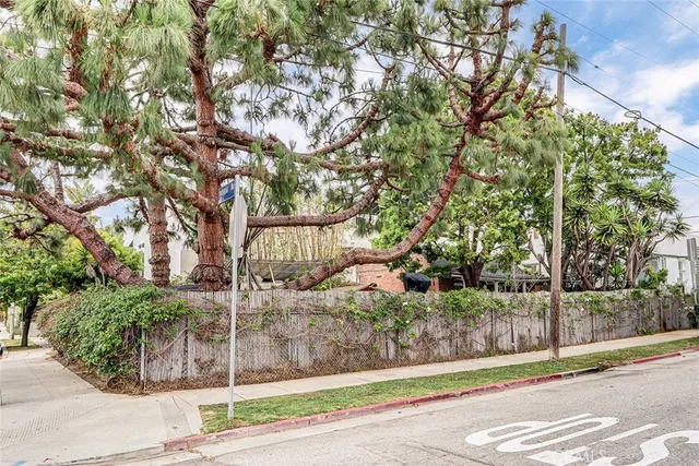 a view of a house with a tree in front