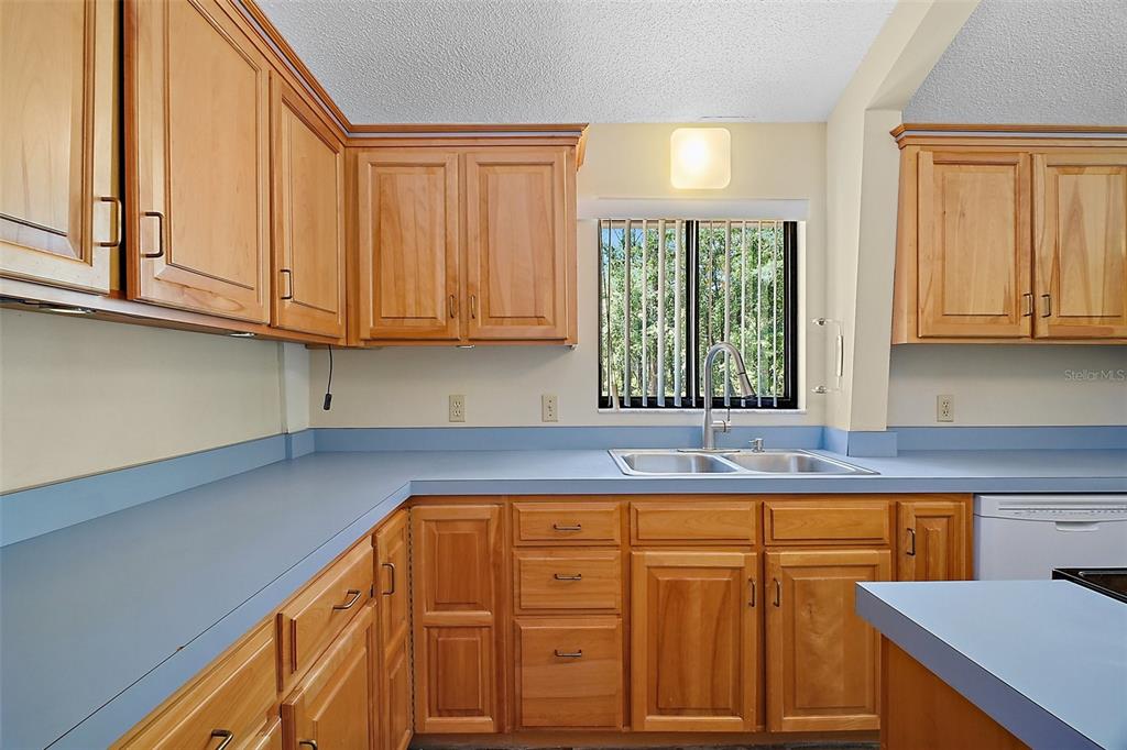 40325 Emeralda Island Road Leesburg, FL 34788 - Photo 11 of 35 Lots of counter space ~