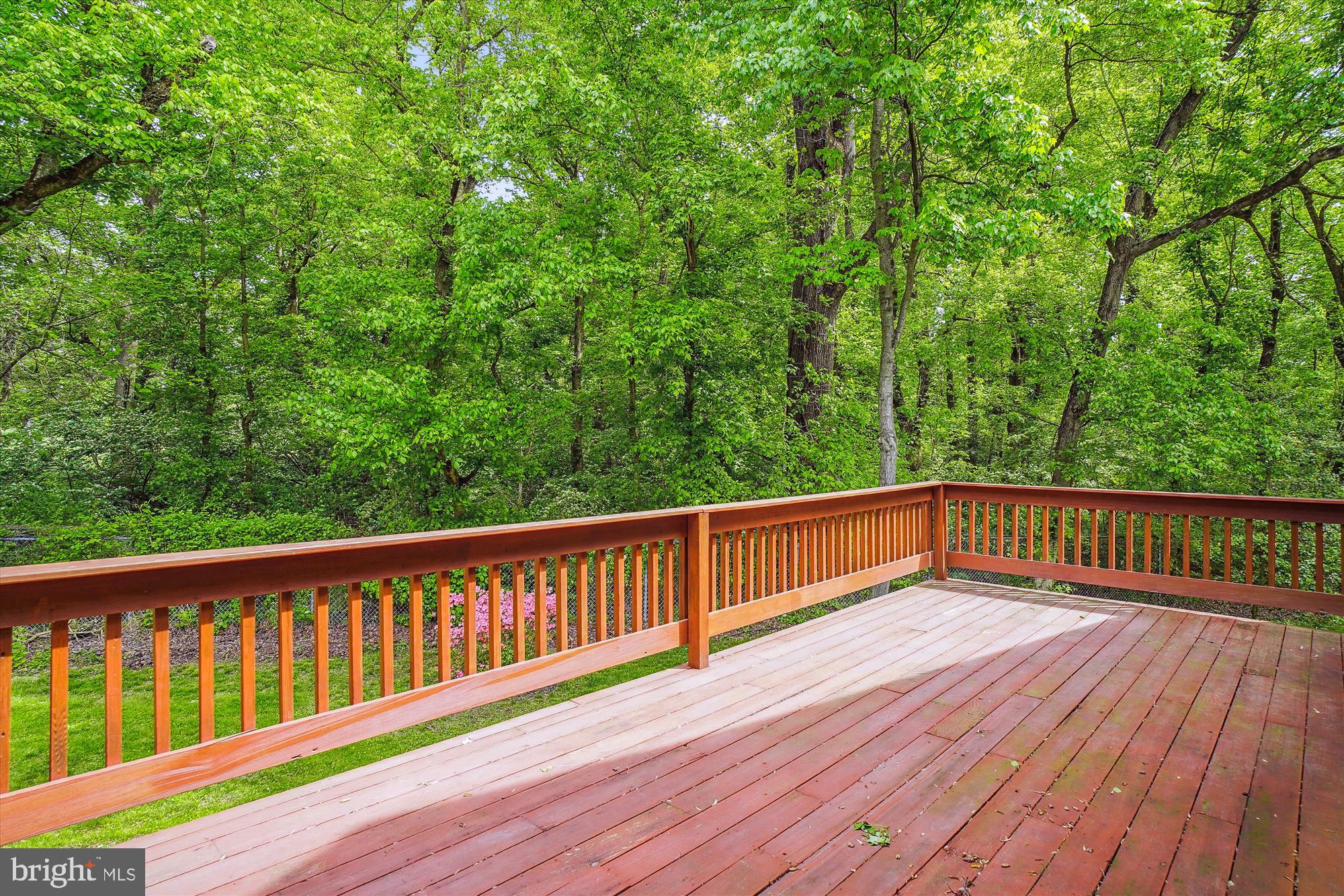 10001 Carter Road Bethesda, MD 20817 - Photo 64 of 78 Elevated Deck with Peaceful Views