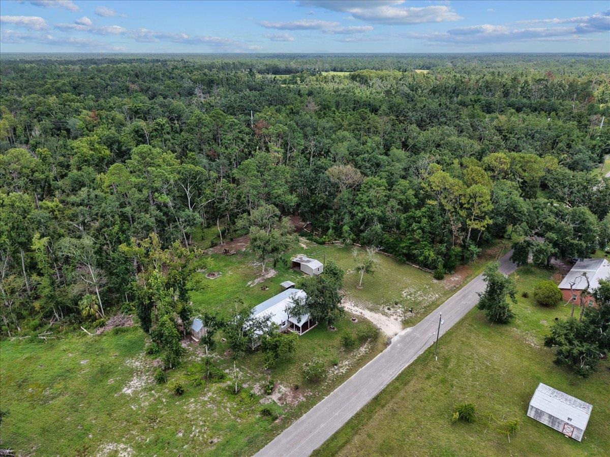 1992 Wt Grubbs Road Perry, FL 32347 - Photo 13 of 47
