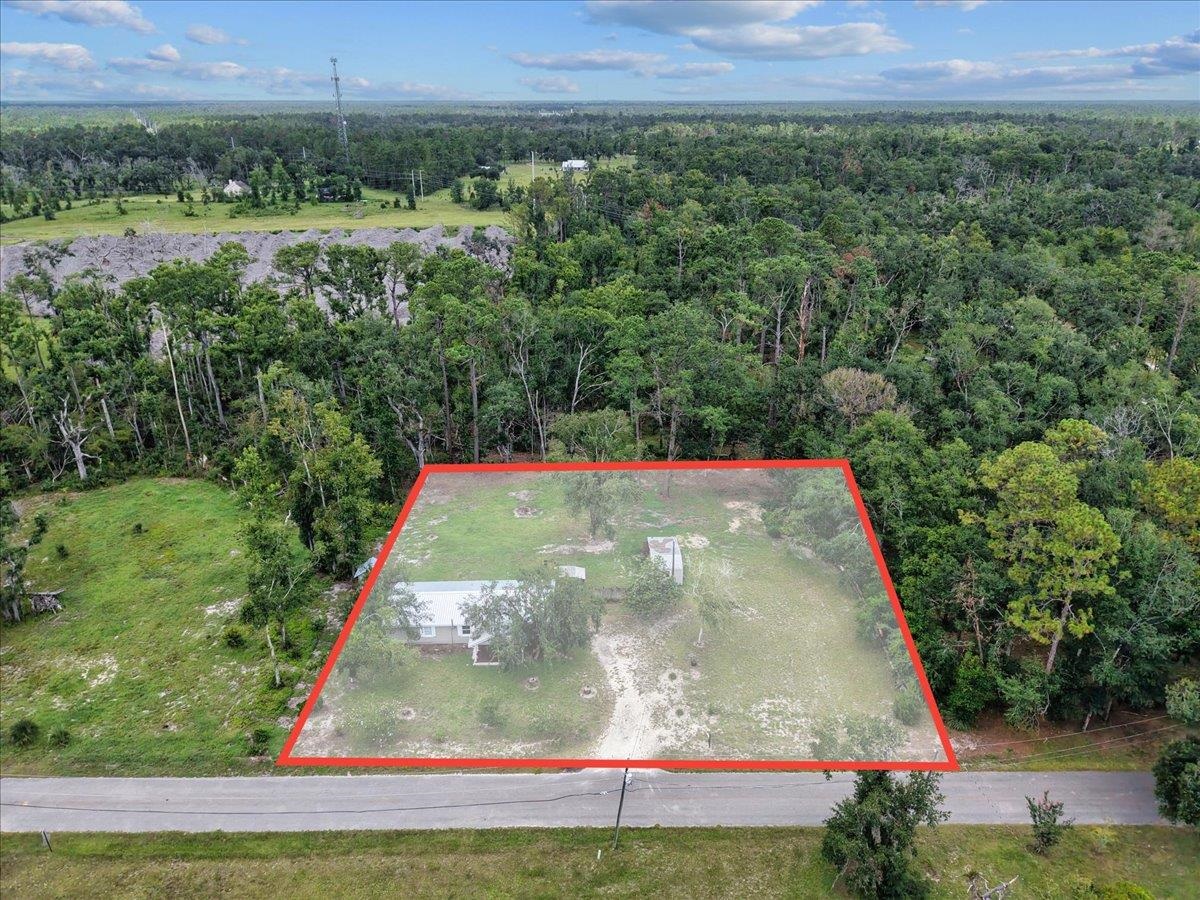 1992 Wt Grubbs Road Perry, FL 32347 - Photo 6 of 47