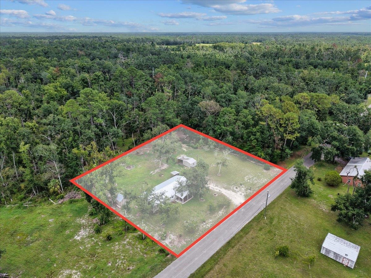 1992 Wt Grubbs Road Perry, FL 32347 - Photo 7 of 47