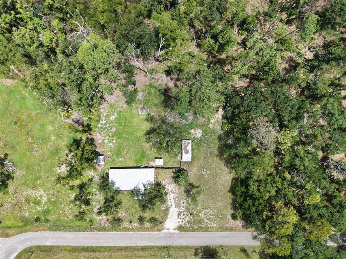 1992 Wt Grubbs Road Perry, FL 32347 - Photo 9 of 47