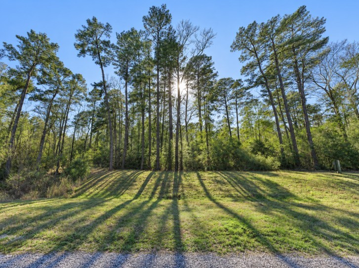 3-15-32 Winchester Road Huntsville, TX 77340 - Photo 3 of 26 Gallery Image 3