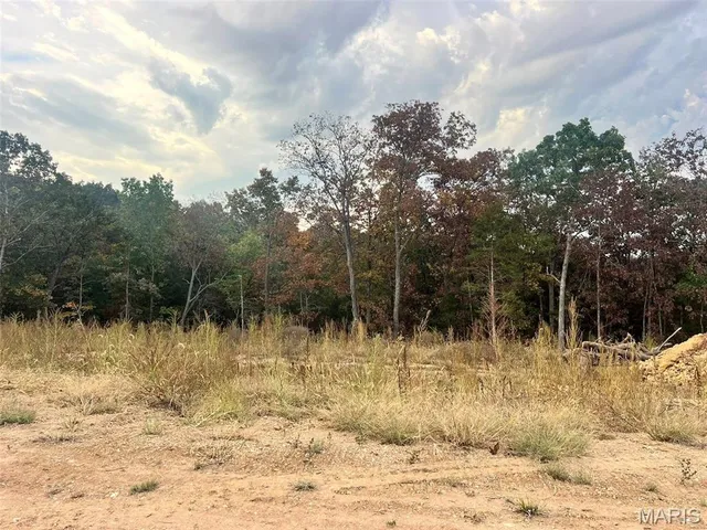 $465,000 | 2392 Fiddlers Close Road, Unit 93 STB, Washington, MO 63090