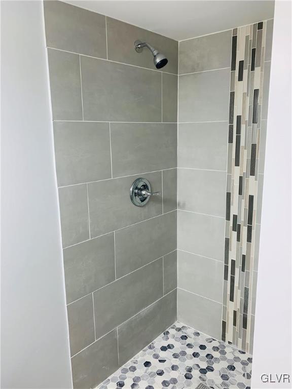 560 Knauss Road Nazareth, PA 18064 - Photo 23 of 25 a bathroom with a shower