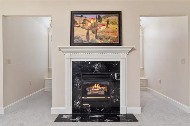 a bathroom with a shower and a toilet