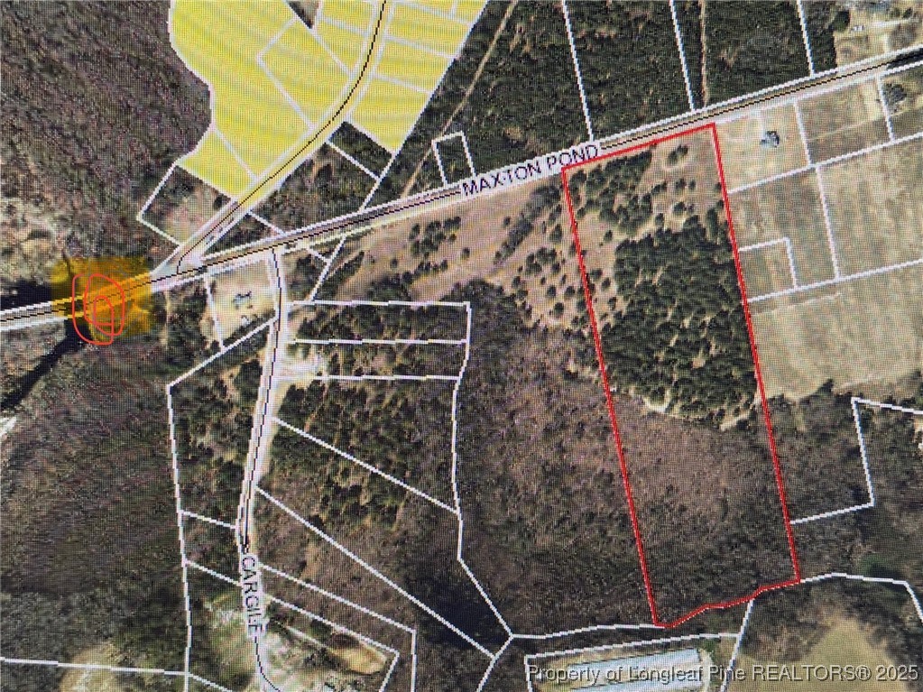 0 Maxton Pond Road North Maxton, NC 28364 - Photo 4 of 4