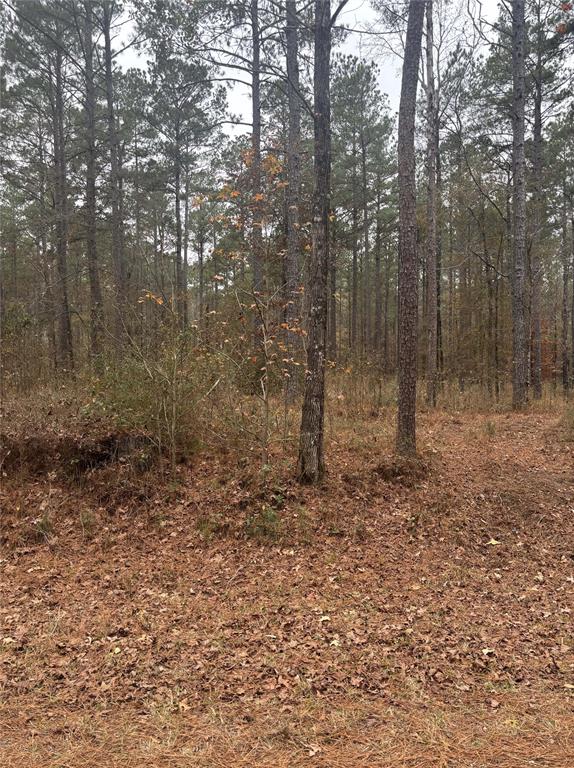 148 Vander Almond Road Minden, LA 71055 - Photo 2 of 2