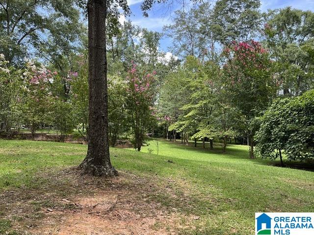 1106 Pinedale Road Clanton, AL 35045 - Photo 8 of 33