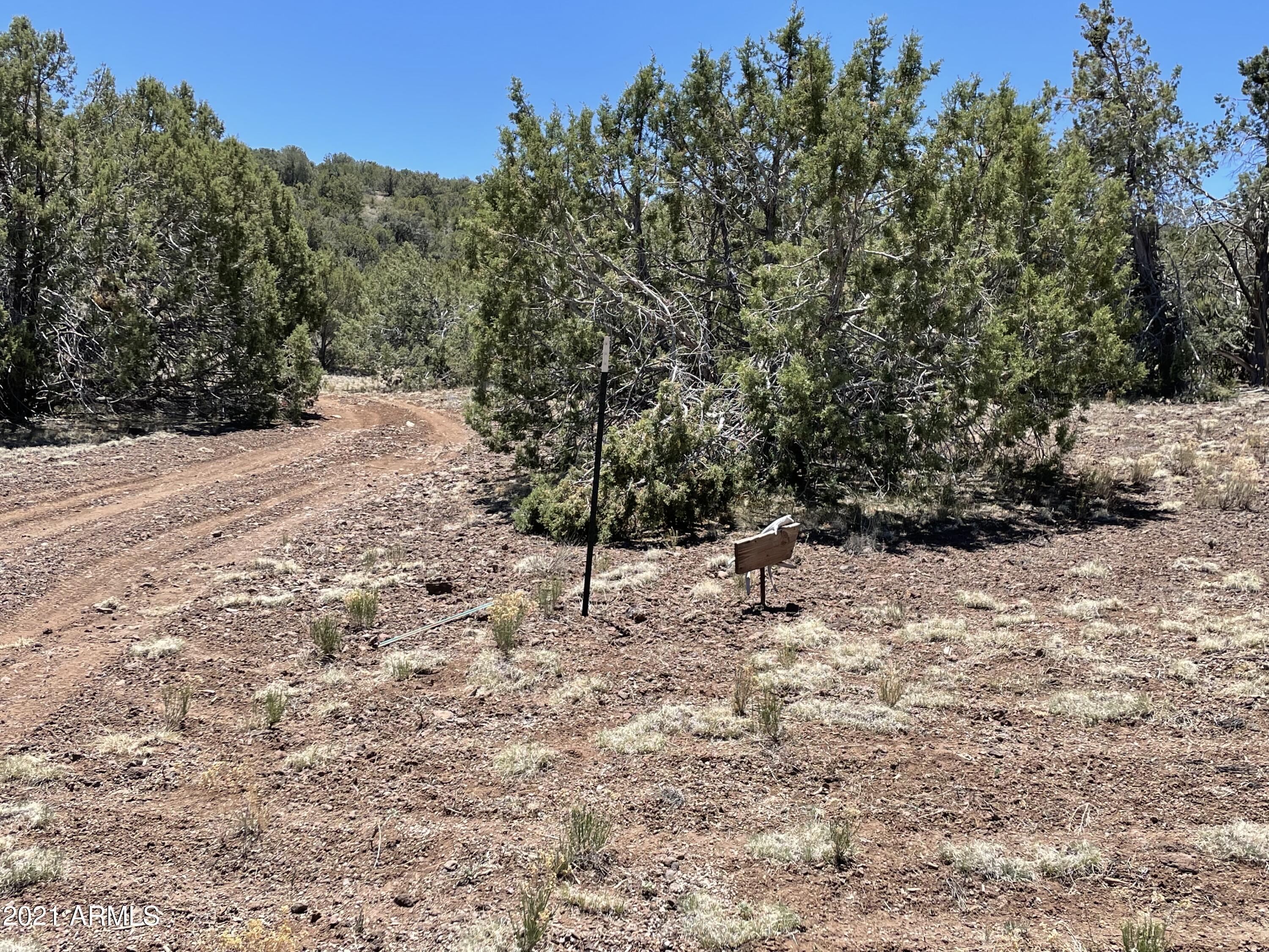 59201 North Freedom Road, Unit 12 Seligman, AZ 86337 - Photo 1 of 4 IMG_9188