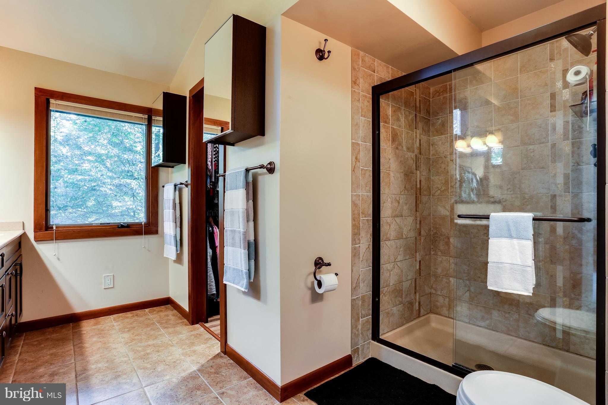 9514 Good Lion Road Columbia, MD 21045 - Photo 14 of 30 Soothing master bathroom