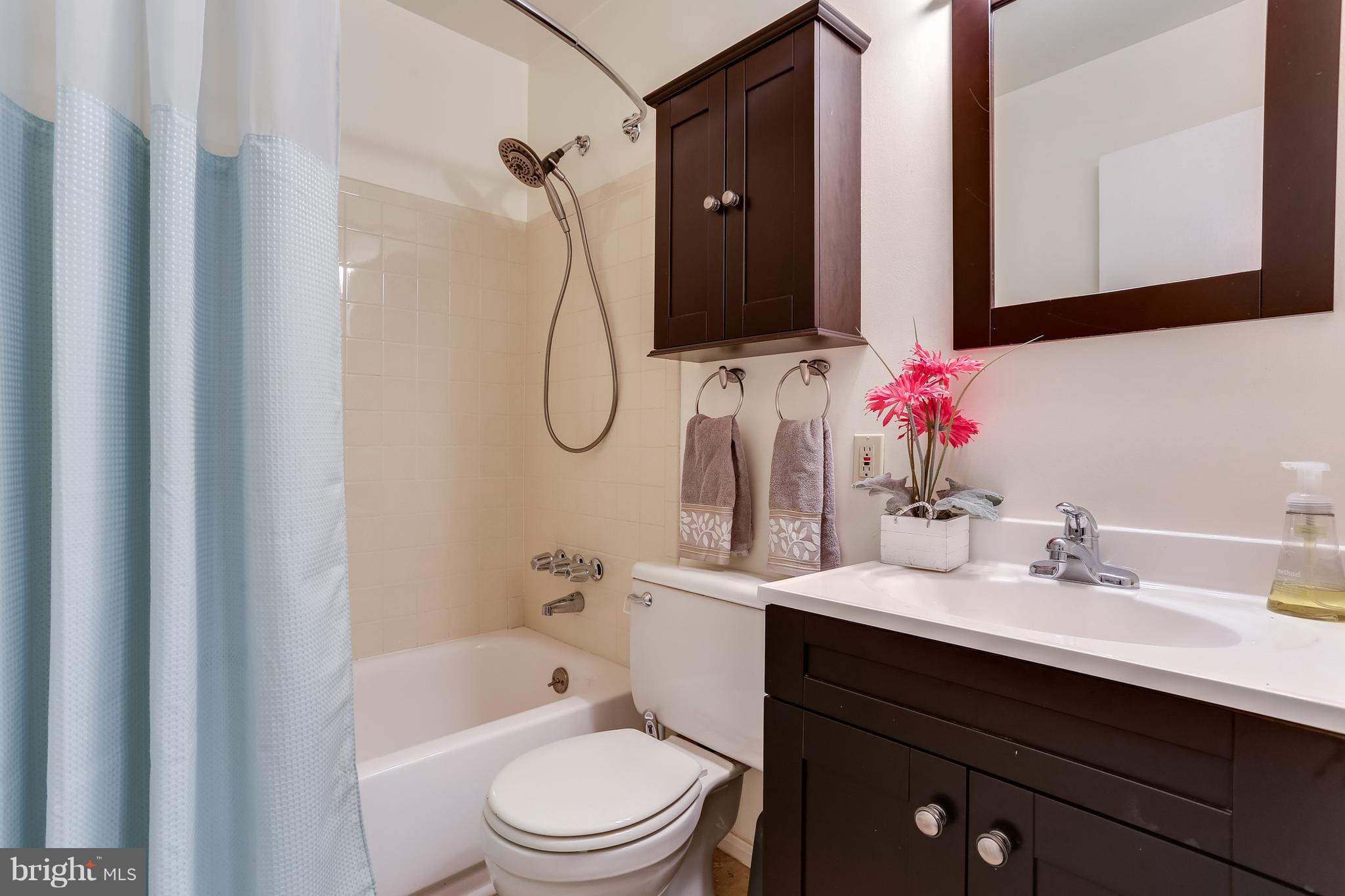 9514 Good Lion Road Columbia, MD 21045 - Photo 20 of 30 Bathroom