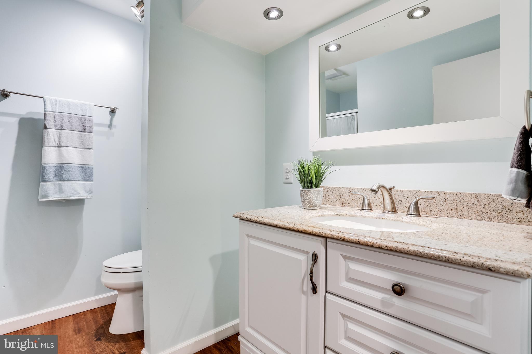 9514 Good Lion Road Columbia, MD 21045 - Photo 22 of 30 Bathroom