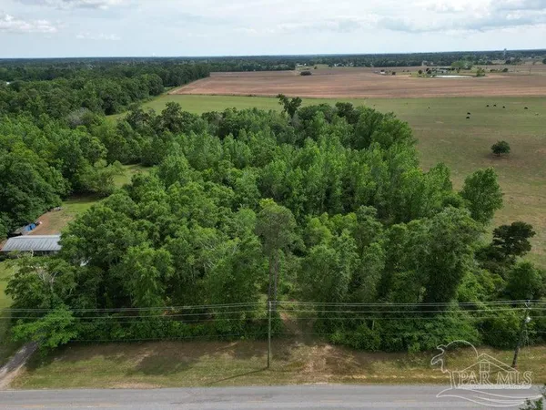 $150,000 | 2000 Molino Road, Molino, FL 32577