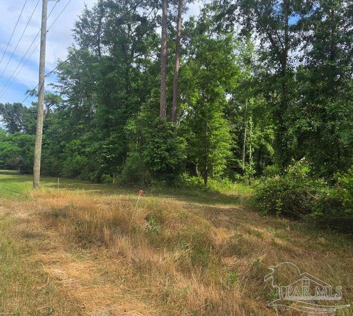 2000 Molino Road Molino, FL 32577 - Photo 14 of 27