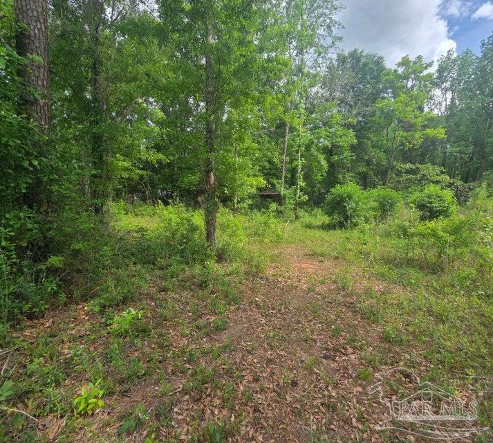 2000 Molino Road Molino, FL 32577 - Photo 16 of 27