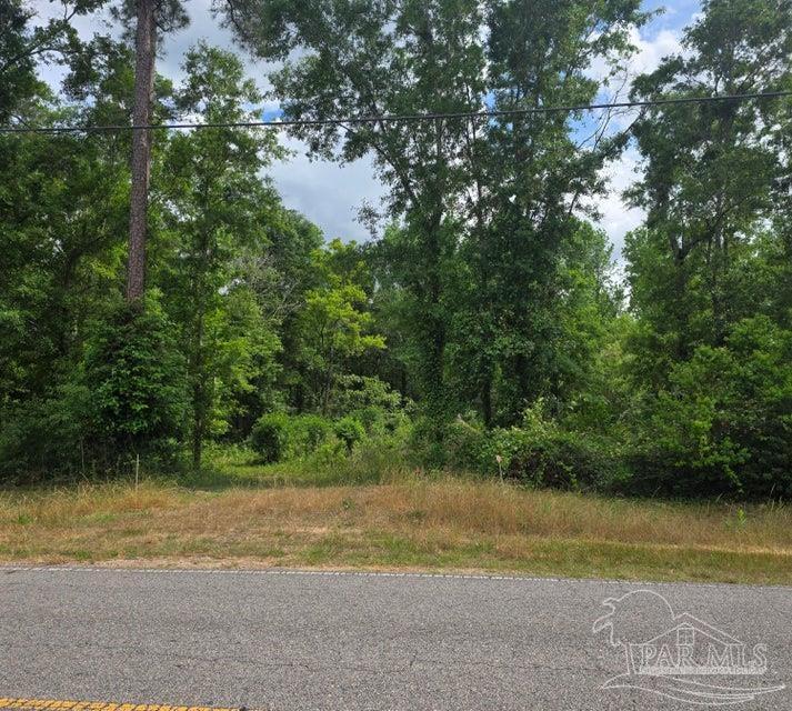 2000 Molino Road Molino, FL 32577 - Photo 18 of 27