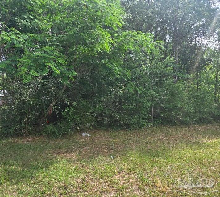 2000 Molino Road Molino, FL 32577 - Photo 19 of 27