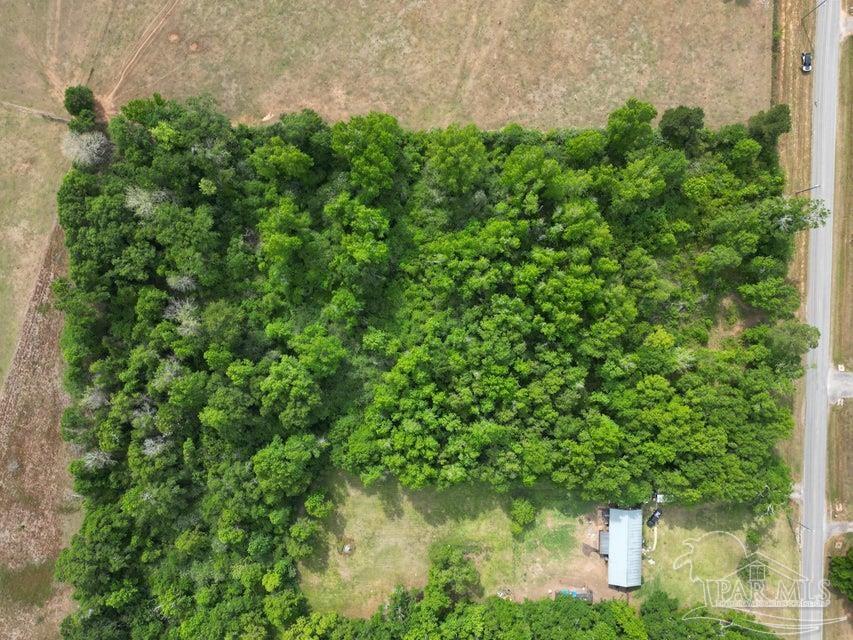 2000 Molino Road Molino, FL 32577 - Photo 2 of 27