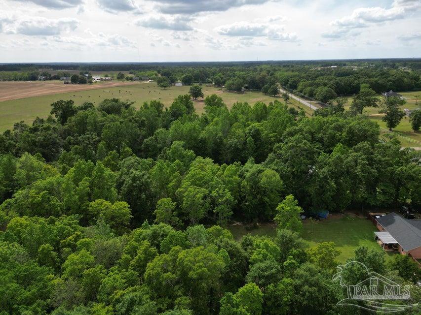 2000 Molino Road Molino, FL 32577 - Photo 3 of 27