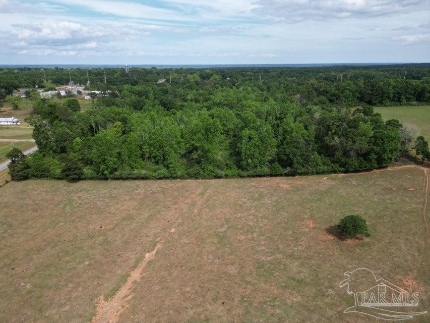 2000 Molino Road Molino, FL 32577 - Photo 4 of 27