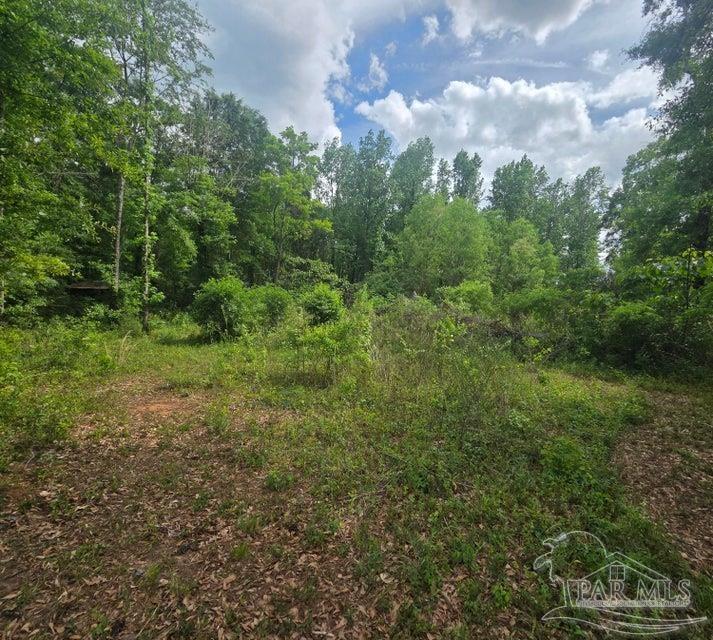 2000 Molino Road Molino, FL 32577 - Photo 6 of 27
