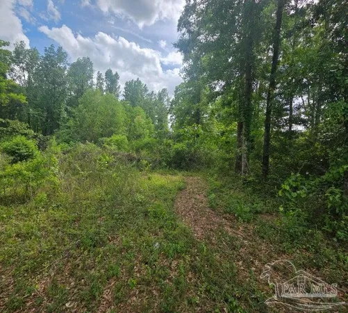 $150,000 | 2000 Molino Road, Molino, FL 32577