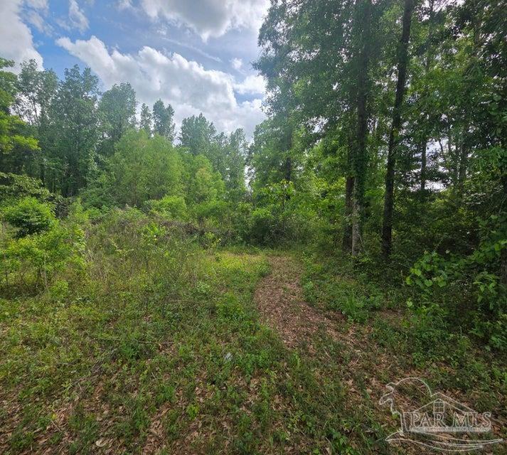 2000 Molino Road Molino, FL 32577 - Photo 7 of 27