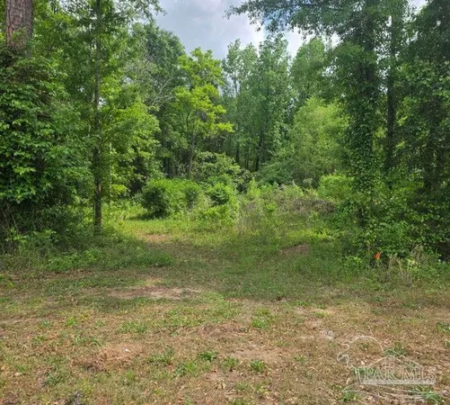 $150,000 | 2000 Molino Road, Molino, FL 32577