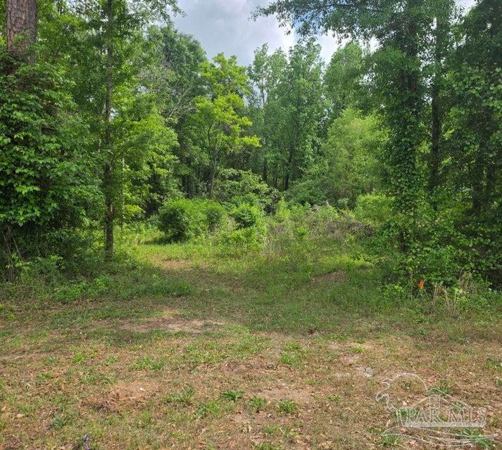 2000 Molino Road Molino, FL 32577 - Photo 8 of 27