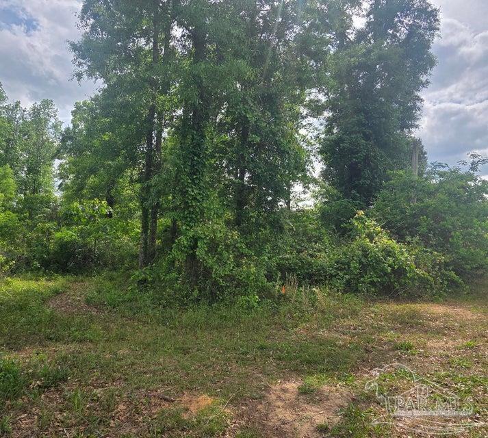 2000 Molino Road Molino, FL 32577 - Photo 9 of 27