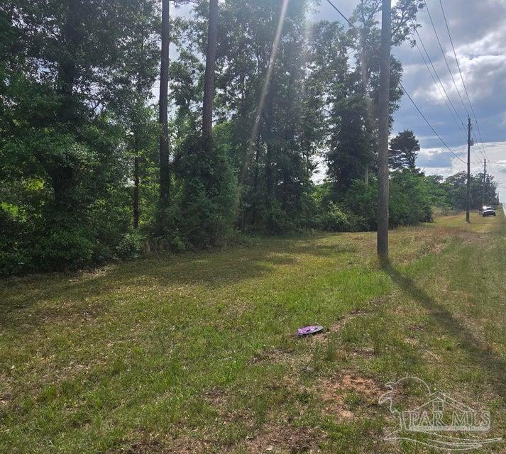 2000 Molino Road Molino, FL 32577 - Photo 10 of 27