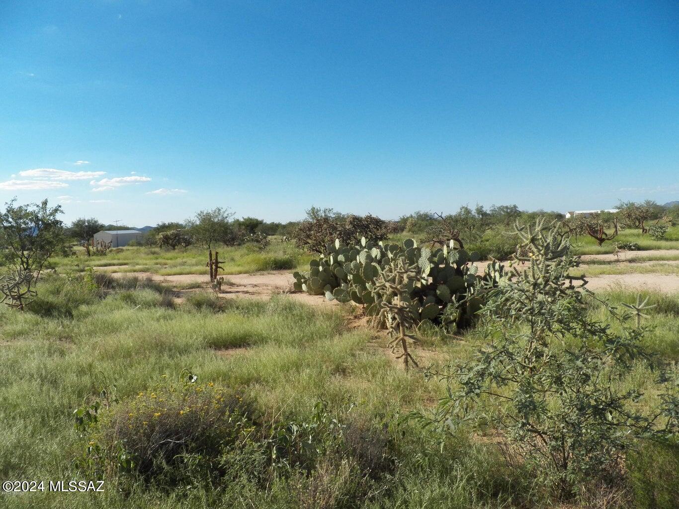 8800 South Marstellar Road Tucson, AZ 85736 - Photo 4 of 5 Gallery Image 4