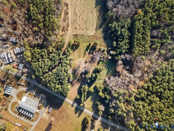 a picture of flowers