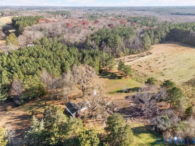 a view of a dry yard covered with trees