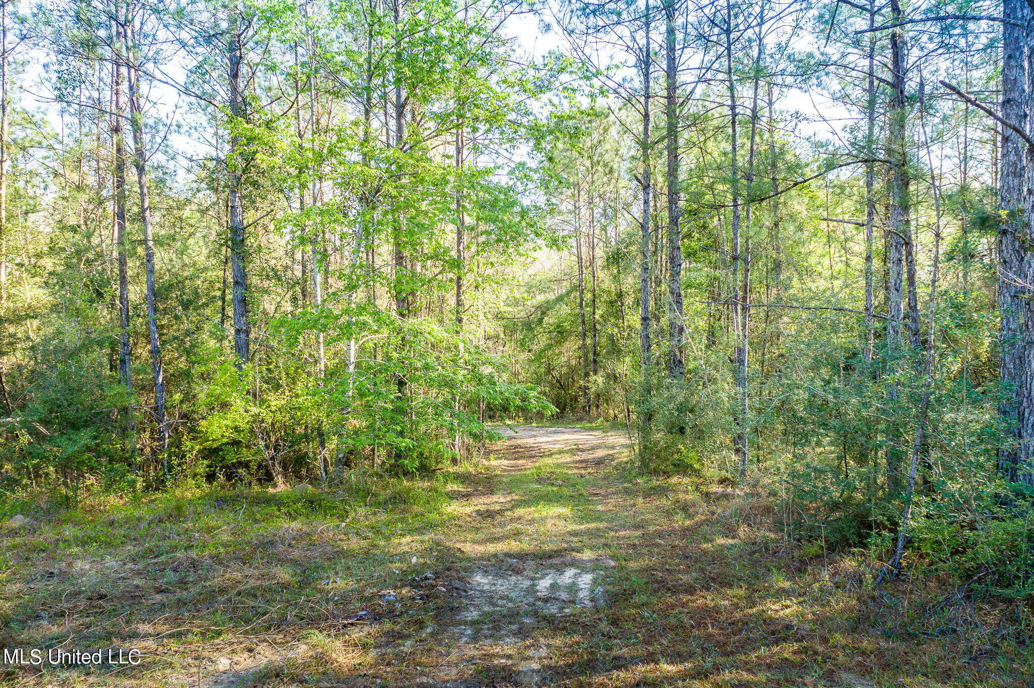 River Road Gulfport, MS 39503 - Photo 8 of 18 4 Drone View (7 of 18)
