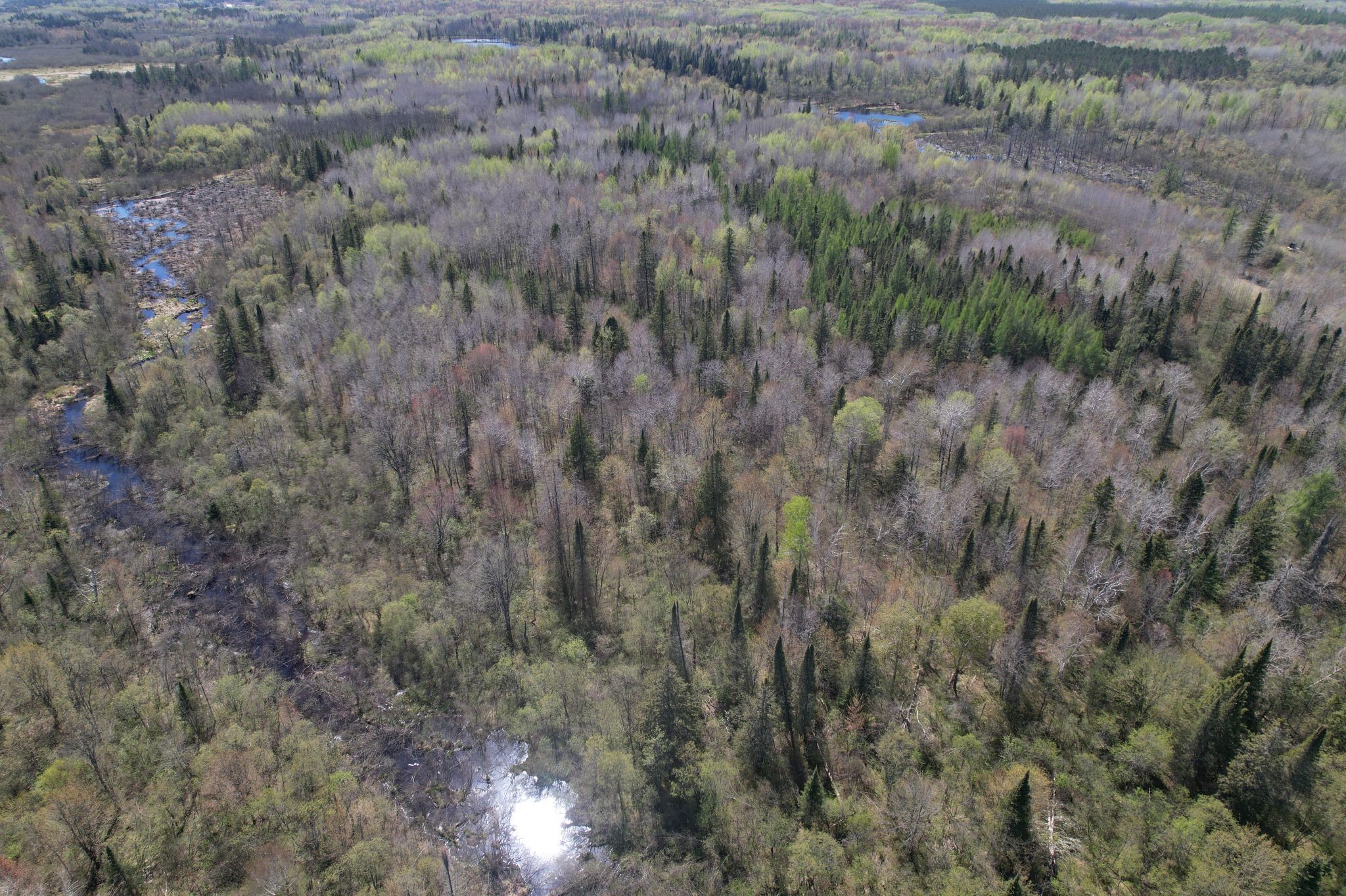 Off Hay Creek Road Prentice, WI 54556 - Photo 39 of 44