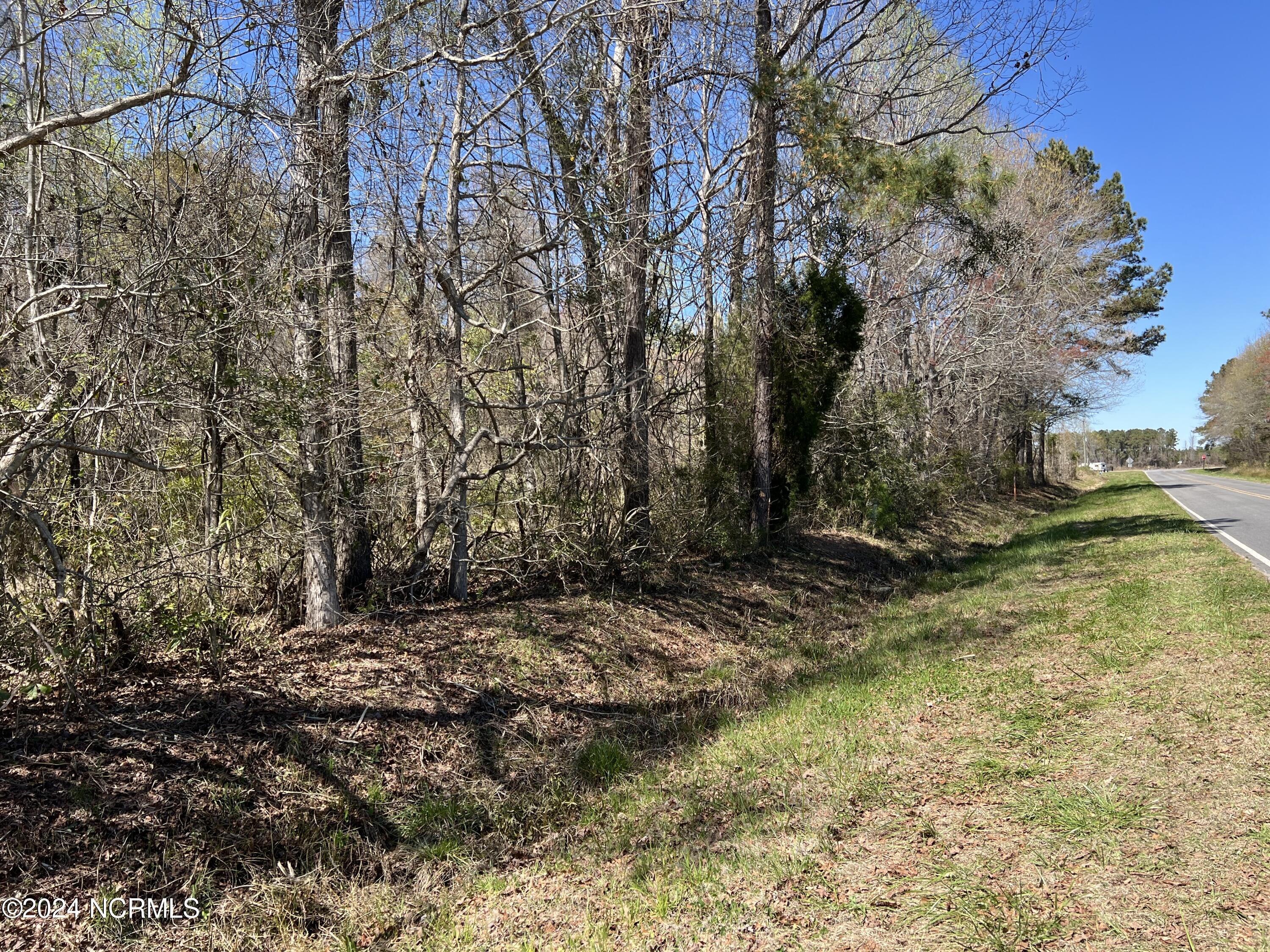 Lot #0 Sr 1736 Road Bath, NC 27808 - Photo 11 of 13 IMG_2701