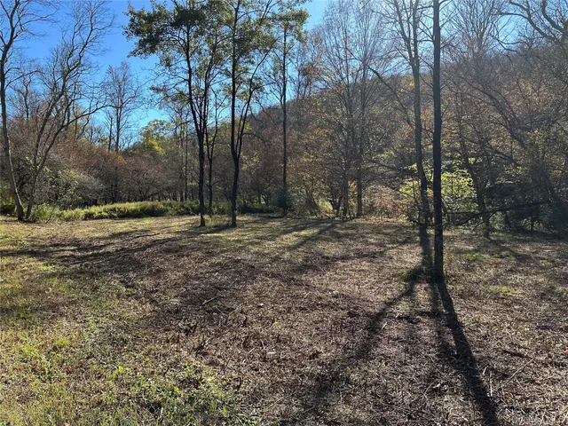 a big yard with lots of green space and fog