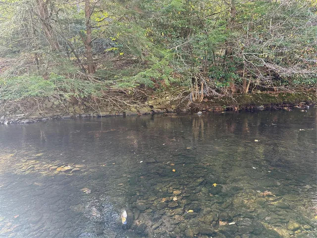 a view of a lake from a yard