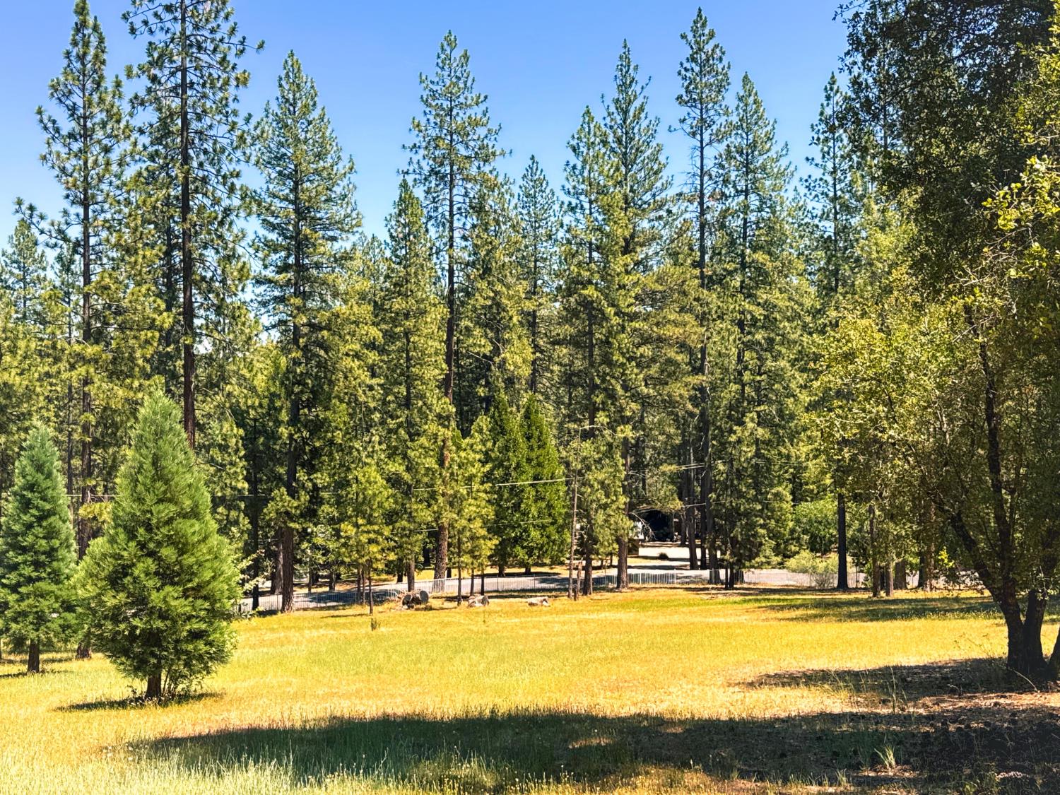6425 Quartz Mine Road Mountain Ranch, CA 95246 - Photo 66 of 70