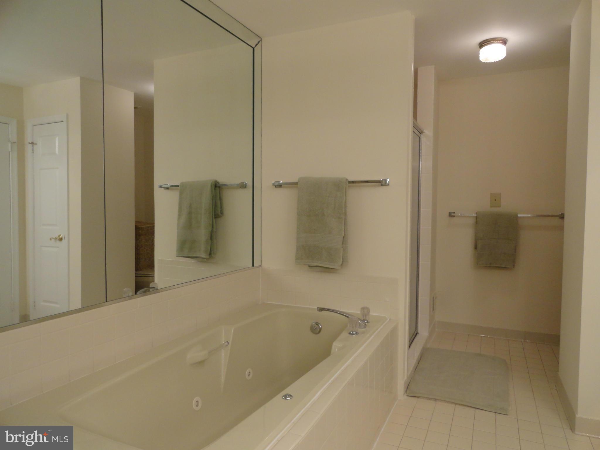 8015 Rising Ridge Road Bethesda, MD 20817 - Photo 23 of 30 Bath (Master)