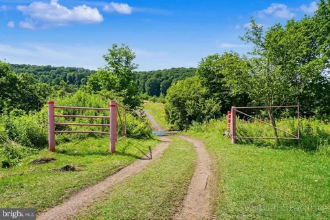 a view of a backyard with potted plants and large trees