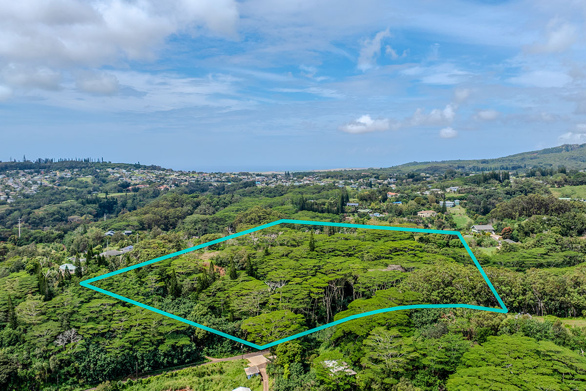 3310 Wawae Road Kalaheo, HI 96741 - Photo 19 of 30