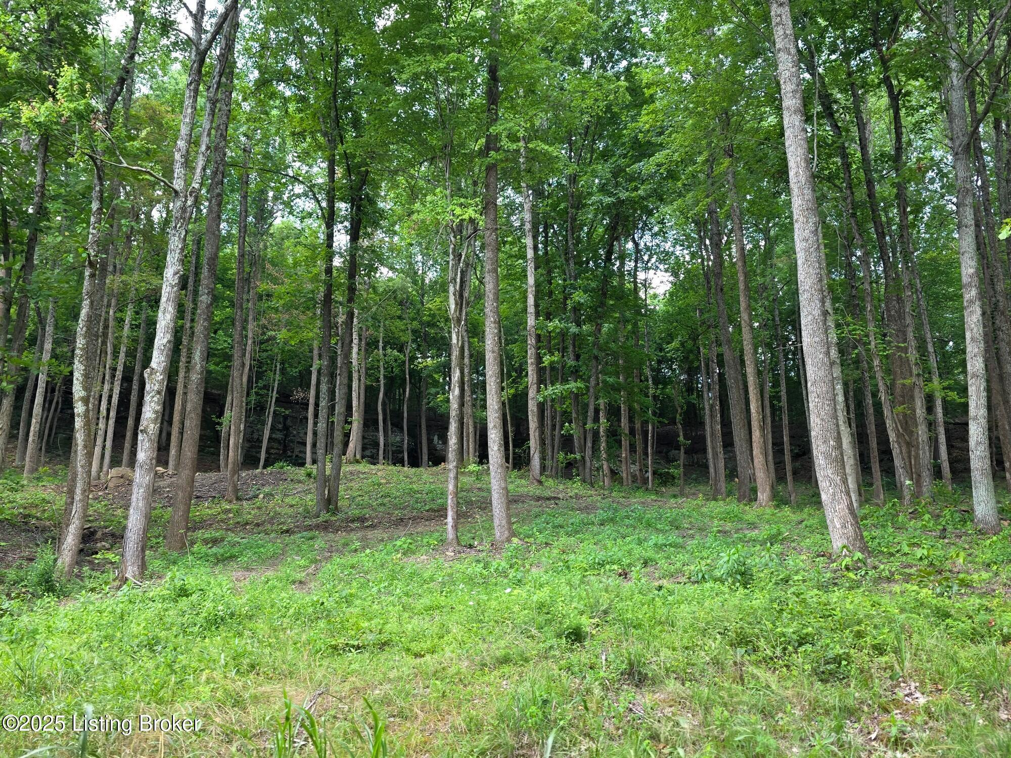 7 Cave Creek Road Falls Of Rough, KY 40119 - Photo 8 of 12 Lot 7-5