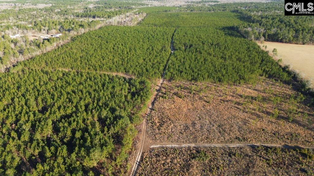 Holstein Road Wagener, SC 29164 - Photo 18 of 26