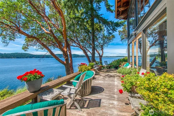 a view of a yard with plants and a large tree